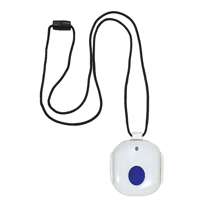 Pendant Pendant